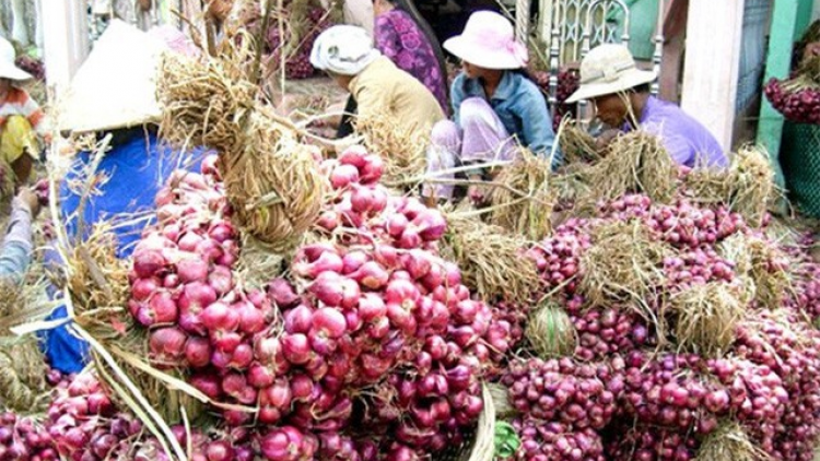 Đhanuôr Ninh Thuận pa zay tu vêy bơơn bấc a pul hành chr’nắp cung dal