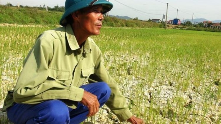 P’răng xơớt bhrợ lấh 580 hécta ha roo hân noo c’loọt ma răng chêết