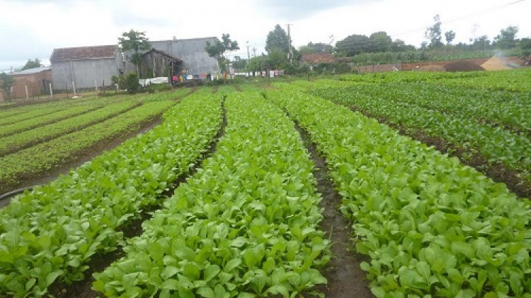 Tiền Giang k’đơơng a’cọ đắh k’tiếc chóh bhơi r’véh zr’lụ Đồng bằng k’ruung Cửu Long