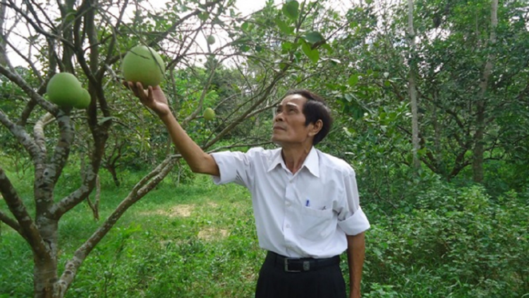 Thanh trà Huế chr’nắp yêm bil hân noo ngân