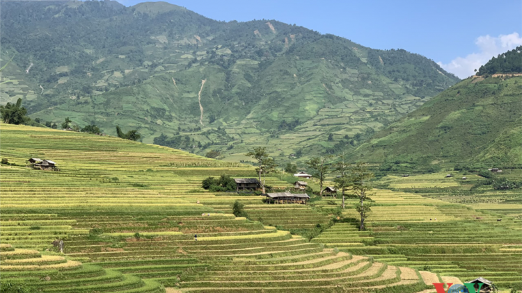 Đhị za nươr âng manuyh đharựt coh Yên Bái
