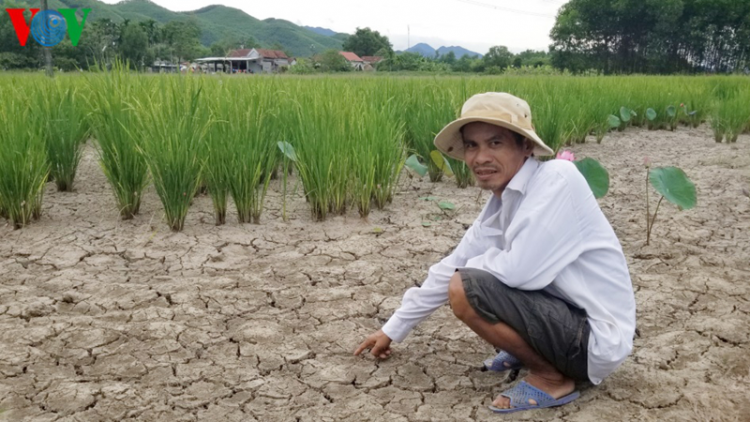 Thừa Thiên Huế: P’răng xơơt hưl đăl, cắh zấp đác đoọng tưới chr’noh chr’bêệt