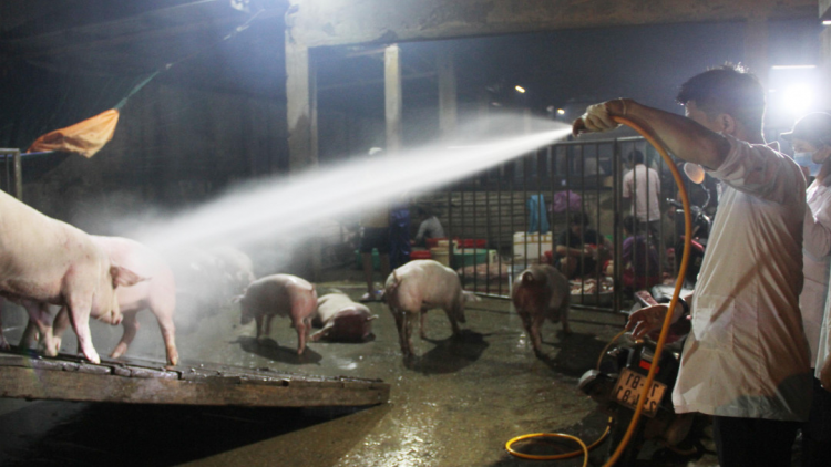 Thừa Thiên Huế, Quảng Trị: Cha groong râu trơơi boọ prlúh pa zruốh a óc châu Phi