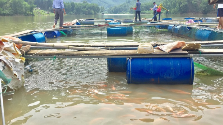 Quảng Ngãi: Băn a xiu coh cr’loọng a boc thủy  điện coh chr’hoong da ding ca coong bơơn bh’nơơn dal