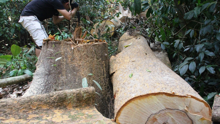 Pa hư crâng cóh tu k’ruung Tranh