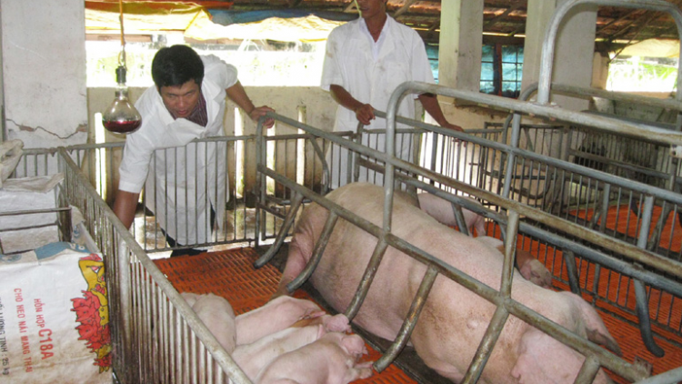 Nghệ An: Bhrợ bhrợợng bh’rợ ch’mêệt lêy pr’lúh pa zruốh a óc châu Phi trơơi boọ