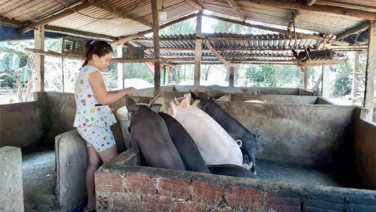Đà Nẵng: Manuýh b’băn k’rang đhị đhr’năng pr’lúh pa zruáh a óc Châu Phi