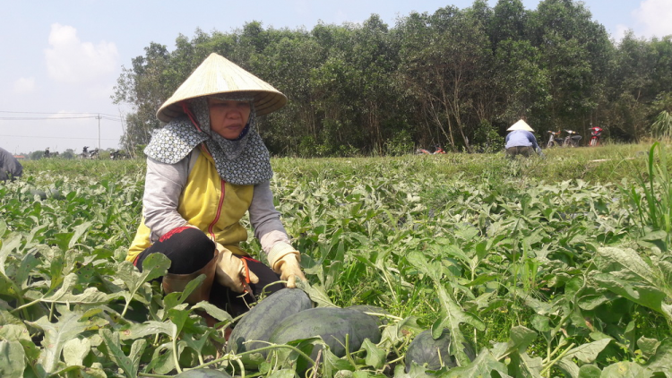 Đha nuôr Quảng Ngãi lum zr’nắh k’đháp tu bha cai
