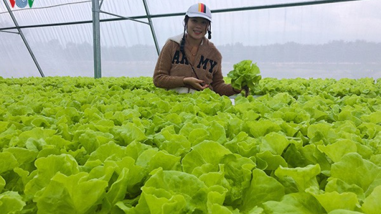 Quảng Nam choh bhơi rơ veh công nghệ đơơng chô bh’nơơn dal