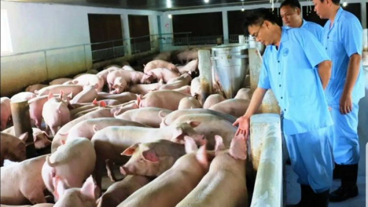 44 tỉnh, thành phố pazêng zr’lụ pr’luh cr’ăy lâh 30 t’ngay doọ dzợ vaih cớ pr’luh pa zruah a ọc Châu Phi
