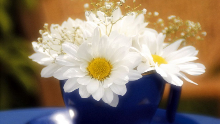 T'RUIH PA XUL  T'NGAY 3/10/2020