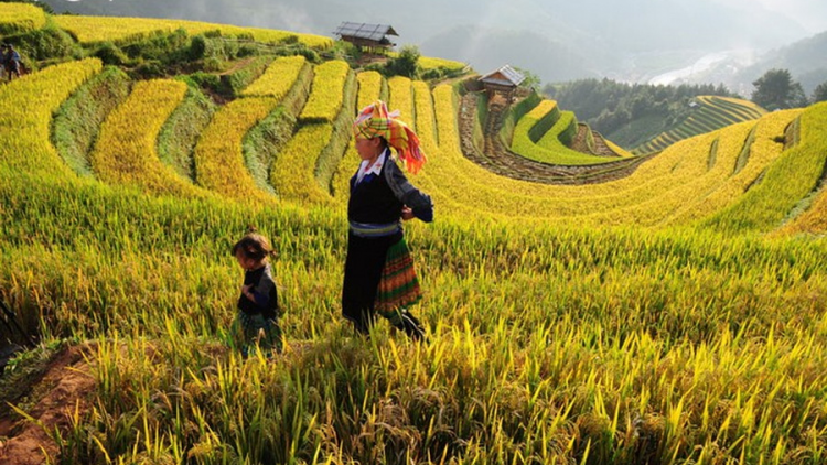 Pr'hat xa nul Chủ nhật- Muy bơr bhr'ươr pr'hat acoon coh Tây Băc