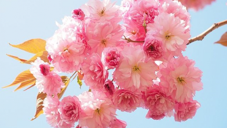 T'RUIH PA XUL T'NGAY 31/3/2020