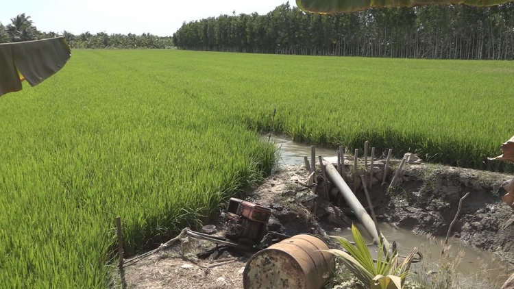 Trà Vinh: Zup zooi đhanuôr zâl cha groong xơợt gooh, đác k’rịa