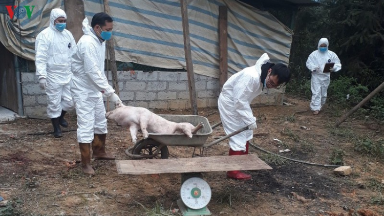 Bắc Kạn năc cớ dưr vaih zr’lụ pa zruôh a oc Châu Phi