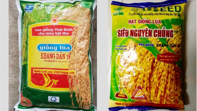 Bộ NN-PTNT k’đươi moon đoọng k’nặ 3.000 tấn m’ma tơơm chr’noh đoọng ha 4 tỉnh miền Trung