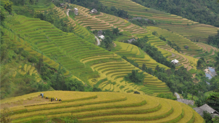 Apêê chr’val, vel vêy 15% đợ pr’loọng đha nuôr acoon coh năc a têh năc zr’lụ đha nuôr acoon coh lâng da ding ca coong