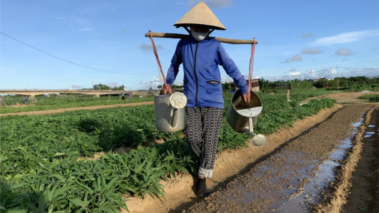 Đà Nẵng pa dưr bh’rợ tr’nêng nông nghiệp xang pr’luh cr’ăy