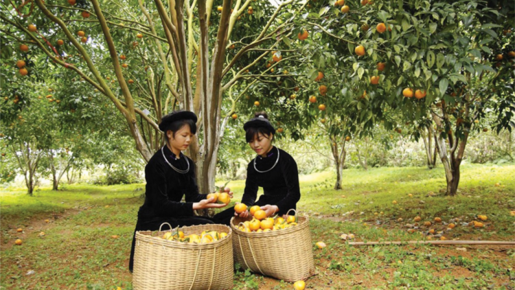 Đươi dua khoa học lâng công nghệ moot  pa dưr zr’lụ đha nuôr acoon coh lâng da ding ca coong