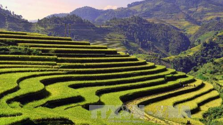 Bhiêc bhan bơơn lêy crâng k’tiêc liêm pr’hay Ruông chuôr Mù Cang Chải