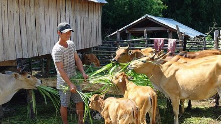 Phú Yên zup zooi đhanuôr acoon coh t’bil đharựt