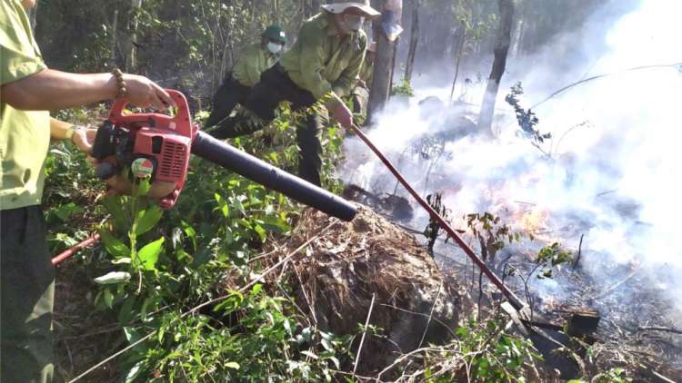 Rooh cát 3 hecta crâng đhị phường Hương Chữ, Thừa Thiên Huế