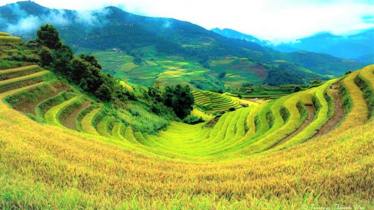 Du lịch Mù Cang Chải ( Yên Bái ) dưr r’rộ r’răm cớ