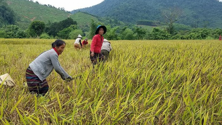 Pa dưr m’ma ha roo âng acoon coh Bru-Vân Kiều