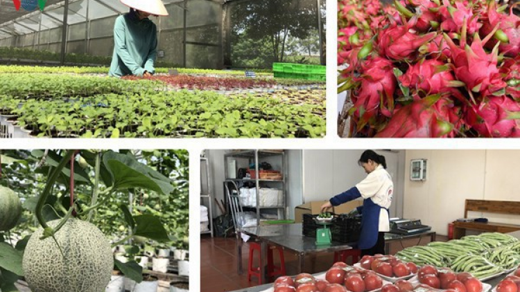 Hội nghị trực tuyến t’bhlầng bhrợ têng ha rêê đhuôch coh đhr’năng pr’luh Covid-19