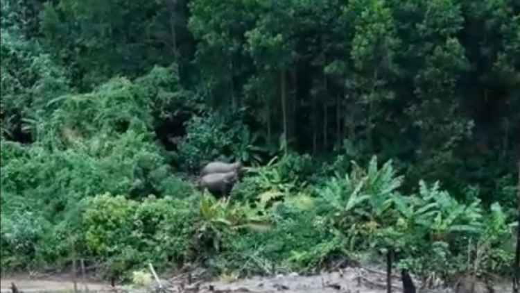 K’coong ch’ngai Quảng Nam: Ruốih crâng ta luôn n’léh