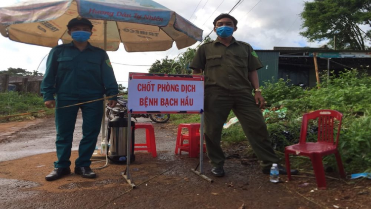 Đắk Nông: Bạch hầu dưr vaih k’rơ, đợ manuyh t’mêê crêê dưr bâc lâh mơ
