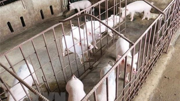 Pa dưr bh’rợ b’băn coh cr’chăl c’moo 2020- 2030 cr’noọ bh’rợ tước ooy c’moo 2040