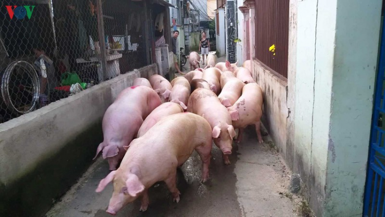 Khánh Hòa: Vêy bhrợ têng zr’lụ bh’zi cut bh’năn pa zum muy đhị coh chr’hoong Khánh Vĩnh