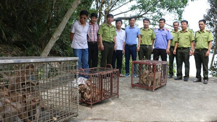 K’đhơợng lêy bh’rợ pa câl, câl đươi ađhăh crâng k’coong
