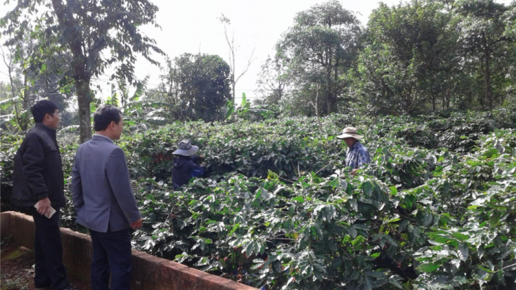 Hướng Hoá liêm chr’nắp tơợ xa nay bh’rợ Zâp chr’val vêy zâp bh’nơơn pr’đươi