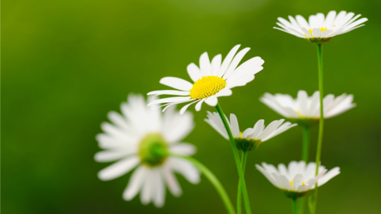 T’RUIH PA XƯL T’NGAY 28-9-2020