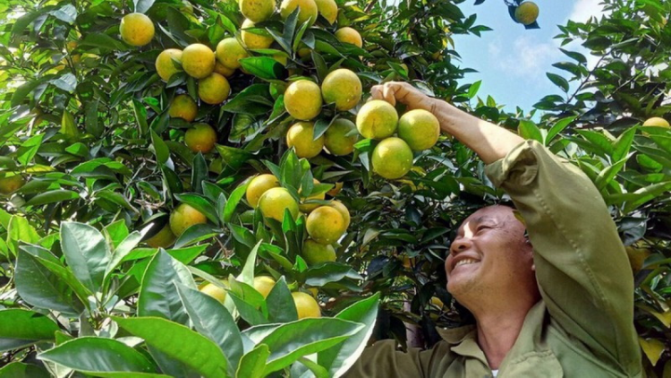Đhanuôr bhrợ ha rêê đhuốch bhrợ t’vaih cr’van cr’bhộ, bhrợ têng bhươl cr’noon t’mêê