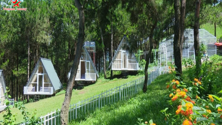Pu Nhi Farm - điểm đến du lịch hoang sơ, đầy hấp dẫn trên cung đường Tây Bắc