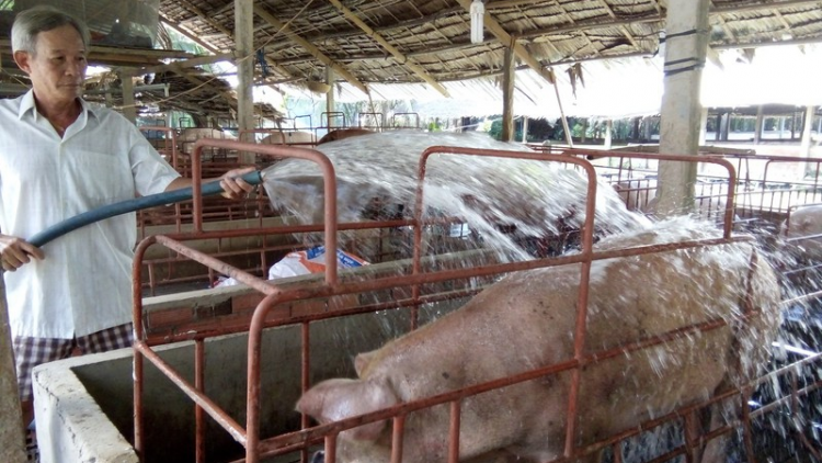 Bấc vel đông nắc dưr váih cớ pr’lúh pa zrúah a’ọc châu Phi
