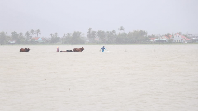 Phú Yên, 1 cha năc manuyh bil xang đhí a muốt số 12