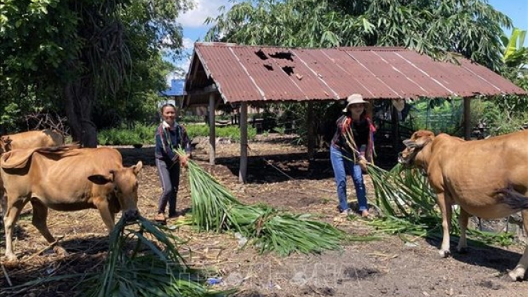 Phú Yên zup zooi đhanuôr acoon coh t’bil đharựt