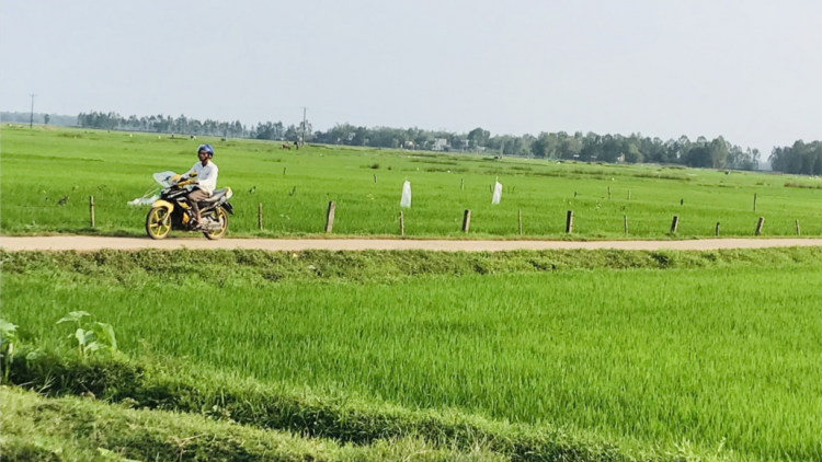 Quảng Nam zooi zúp bha nậ chr’hooi đác đoọng ha k’noọ 86 r’bhâu hécta k’tiếc bhrợ têng ha rêê đhuốch