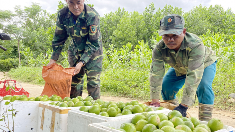 Quảng Nam: T’bhlâng bơơn cr’noọ bh’rợ pa xiêr đha rứt c’moo 2020