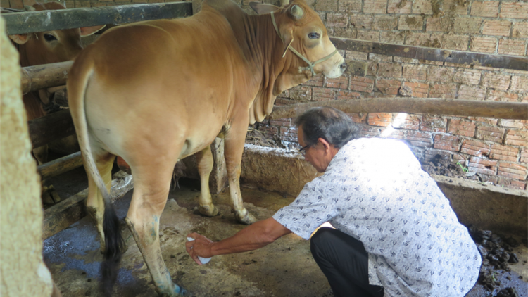 Quảng Ngãi: Đơơh hân vêy 20 r’bhâu liều vắc xin bhih buunh boóp tr’plooc chr’coop