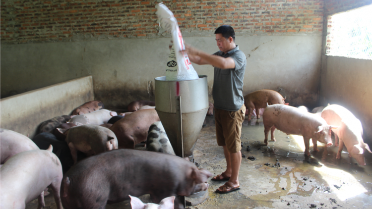 Sơn La zâl cha groong pr’luh pa zruah a ọc châu Phi dưr vaih cớ