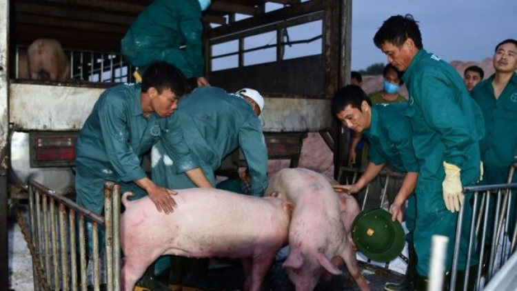 Tơợ t’ngay 12/6, k’tiếc k’ruung hêê đoọng phép pay t’moót a’ọc ma mung