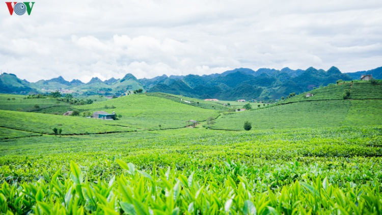 Thái Nguyên: 72 chr’val zr’lụ da ding ca coong bơơn xay moon vel bhươl t’mêê