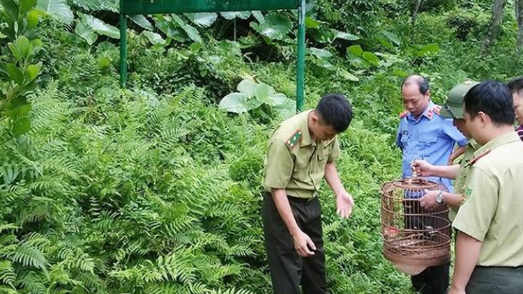 Thái Nguyên: Pa dưr rau xa nay bh’rợ chr’năp âng đhanuôr coh bh’rợ zư lêy crâng nhâm mâng