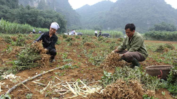 Xay bhrợ đhậu bhưah xa nay bh’rợ thi đua prang k’tiêc k’ruung pazum têy tu manuyh đharựt