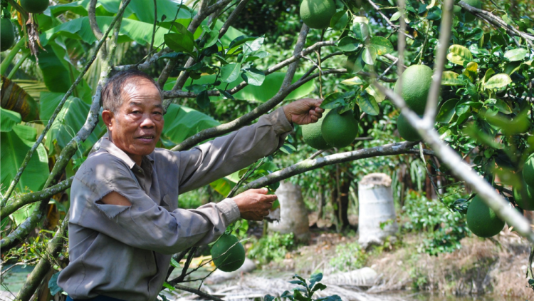 T’cooh Ba Liêm- Ma nuyh Đảng viên ta luôn pa zay lơi lưch c’rơ âng đay đoọng bhrợ têng